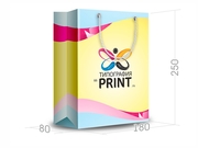 заказать печать Бумажный пакет тираж 100 штук вертикальный А5 формата , размер 200x260x80 мм, бумага 200 г/м² + с ламинацией, установка люверсов и ручки-шнурка